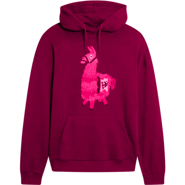 Winter Hoodies - Imagen 3